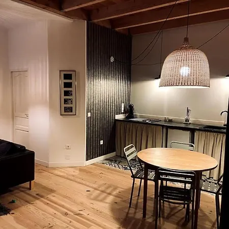 Tres Bel En Duplex De 45 M2 公寓