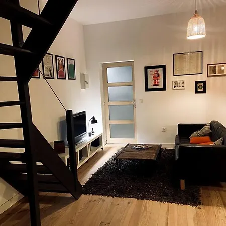 Tres Bel En Duplex De 45 M2 Labastide-Saint-Georges