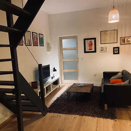 Tres Bel En Duplex De 45 M2 アパート Labastide-Saint-Georges