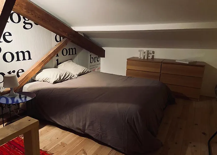 Apartment Tres Bel En Duplex De 45 M2 Labastide-Saint-Georges